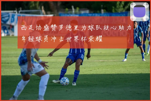 西足协盛赞罗德里为球队核心助力年轻球员冲击世界杯荣耀